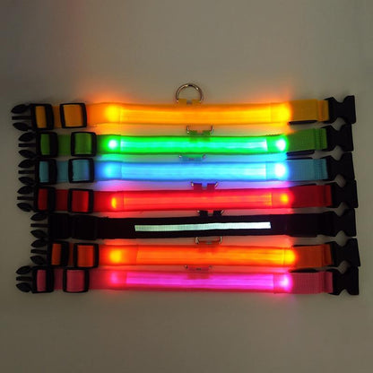 LED Dog Safety Collar – Night Glow